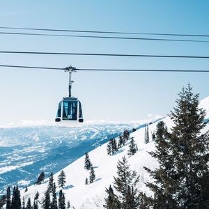 Meet your Posher, Delaney